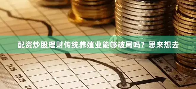 配资炒股理财传统养殖业能够破局吗？思来想去